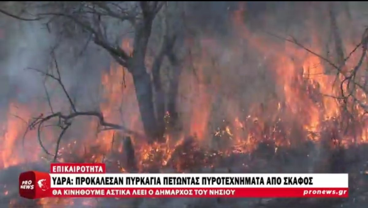 Фото: Скриншот видео