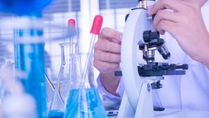 Объём услуг научных исследований и разработок в Казахстане вырос вдвое
