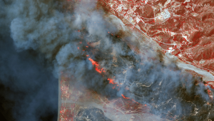 Красный уровень опасности объявлен в Греции из-за лесных пожаров