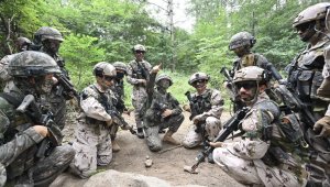 Южная Корея и ОАЭ проводят совместные военные учения