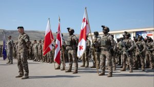 США и НАТО проводят совместные учения в Грузии