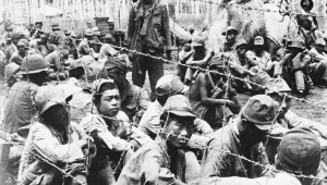 В Риддере нашли останки японских военнопленных времен ВОВ