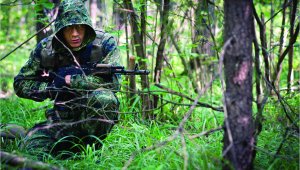 Военное искусство: тактика ведения боя в лесу