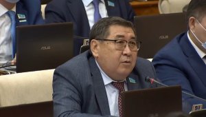 В Казахстане предложили создать закон «О главе семьи»