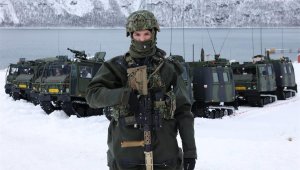 В Финляндии впервые в истории начались военные учения НАТО