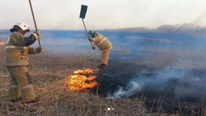 Продолжаются работы пот тушению природного пожара вдоль побережья Каспийского моря