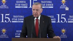 Эрдоган сделал ряд заявлений о мире в Южном Кавказе, войне на Ближнем Востоке и НАТО