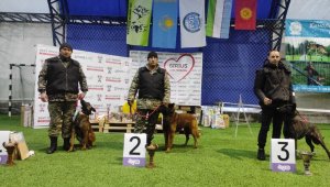 Гвардейские собаки выступили на международной выставке в Алматы