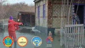 Пункты сбора гуманитарной помощи для пострадавших от паводков открыли в Астане