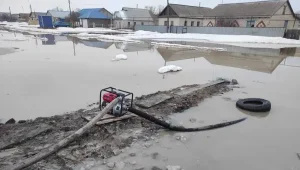 Еще в одном районе Костанайской области объявили режим ЧС