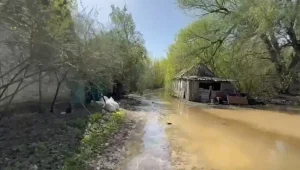 Жайык начал топить дачные массивы под Уральском