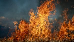 Пожарные ликвидировали пожар вдоль трассы Астана-Караганда