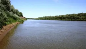 В городе Атырау уровень реки Жайык поднялся на 4 см