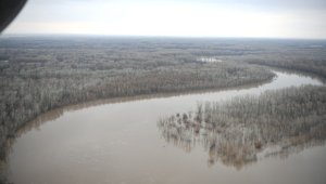 Уровень воды в Кушумском канале ЗКО поднялся на 43 сантиметра за сутки