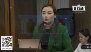 «Она понимала, что Бишимбаев ее убьет»: адвокат потерпевших выступила на судебных прениях