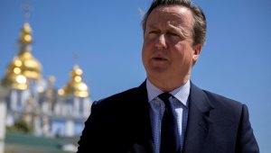 Кэмерон считает, что Украина вправе бить по России британским оружием