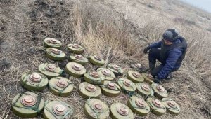 Польша может отказаться от запрета на использование противопехотных мин