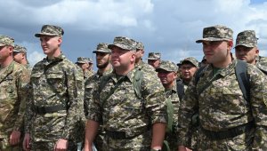 Снова в строю